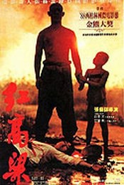 Rudé pole - Red Sorghum